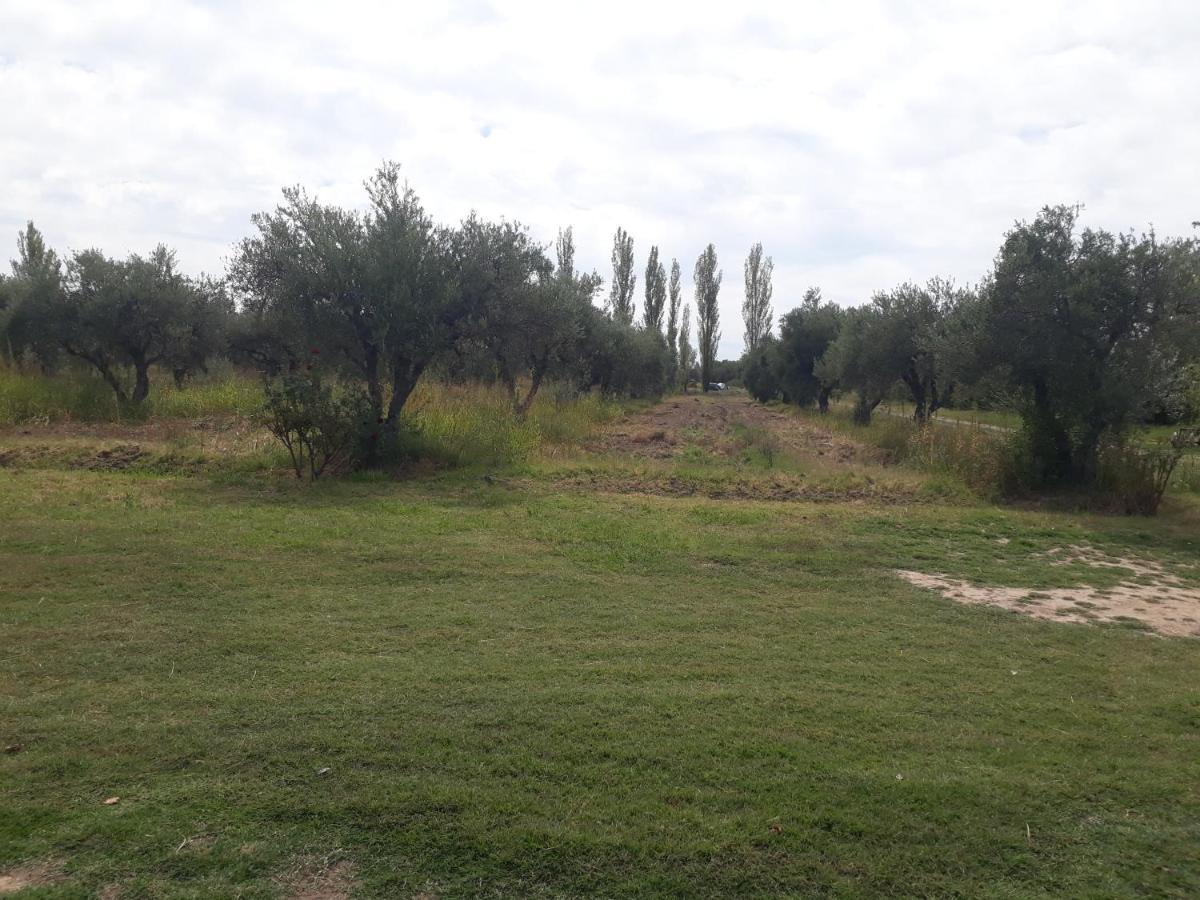 Casa De Campo Las Olivas San Rafael  Eksteriør billede