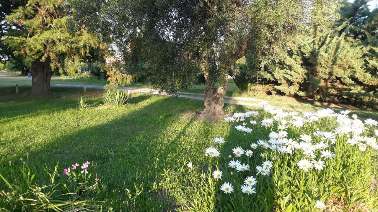 Casa De Campo Las Olivas San Rafael  Eksteriør billede