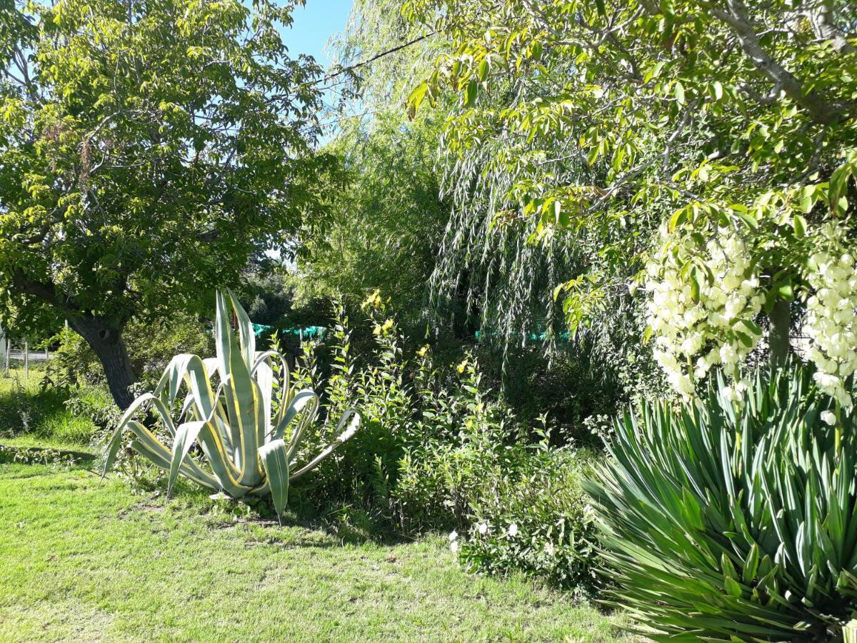 Casa De Campo Las Olivas San Rafael  Eksteriør billede